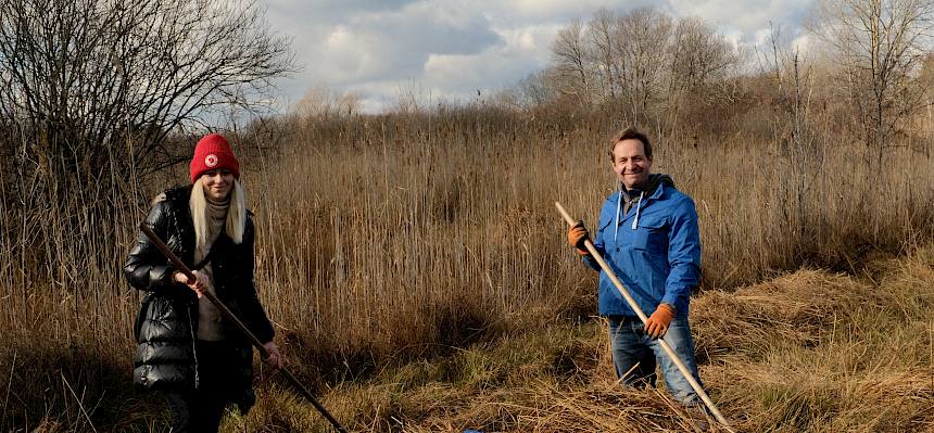 Volunteers rechen Schilf zusammen