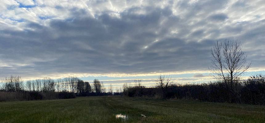 Blick über das Herrngras