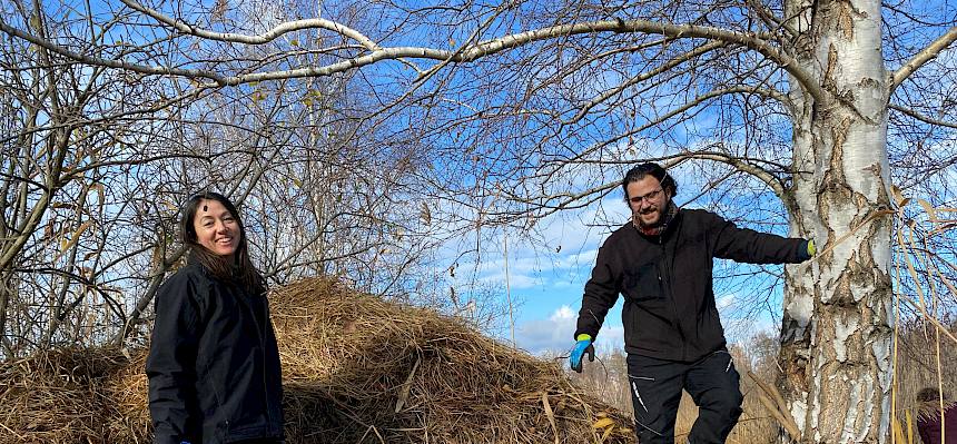 Abladen des Schnittguts