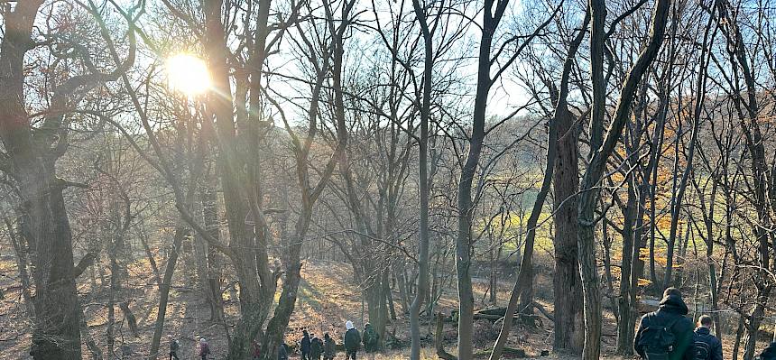 Praktikant:innen gehen durch den Wald