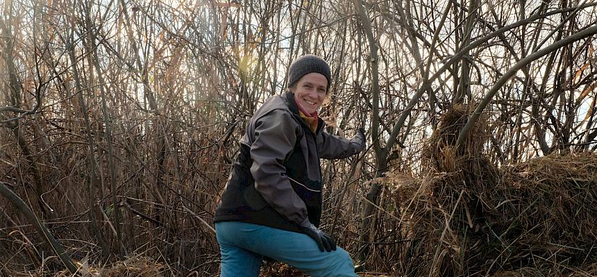 Biologin auf Schilfhaufen