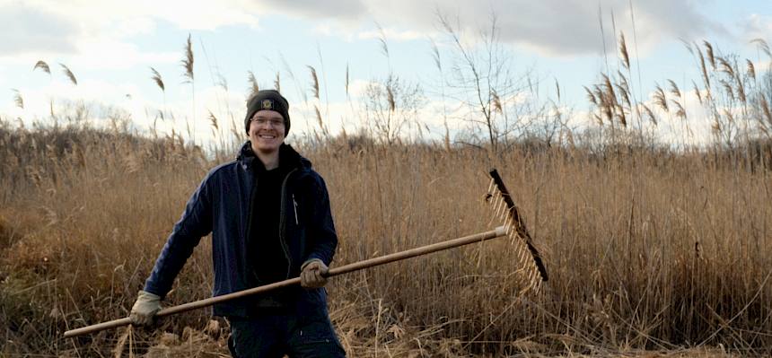 Praktikant recht Schilf zusammen