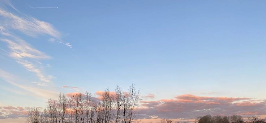 Blick über Feuchtwiese