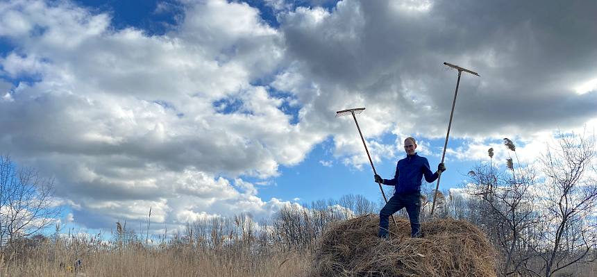 Praktikant auf Schilfhaufen