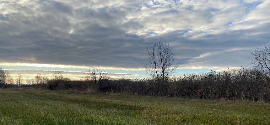Rechen auf Feuchtwiese