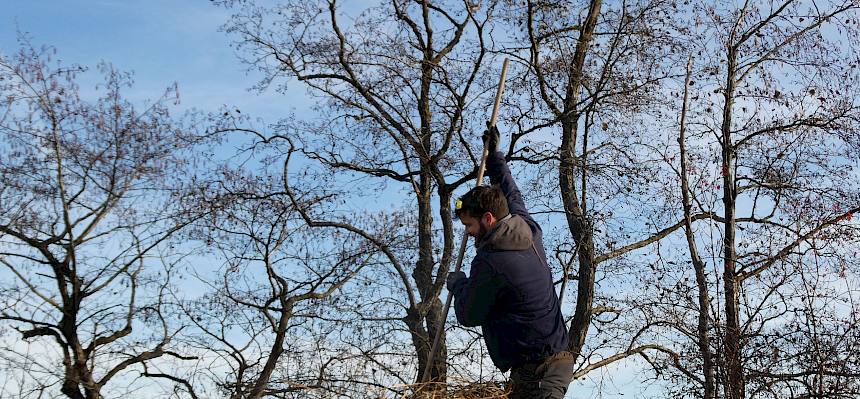 Bei der Landschaftspflege.