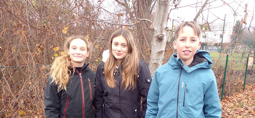 Schüler:innen bei Heckenpflanzaktion