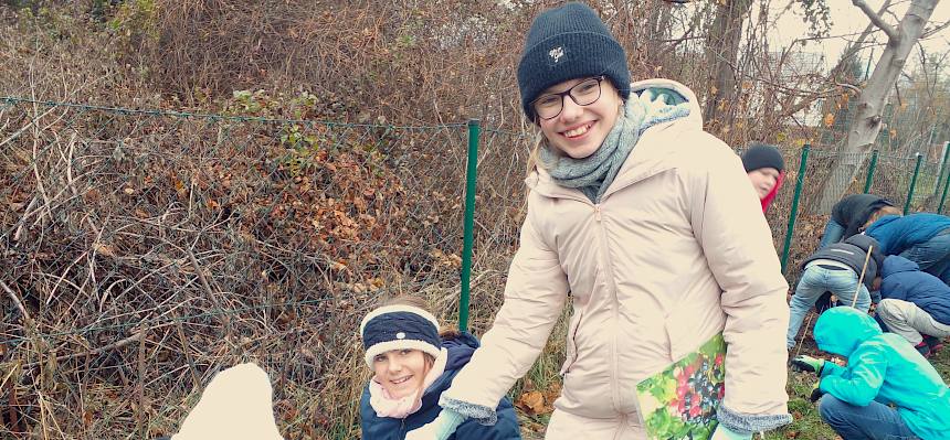 Schüler:innen pflanzen zusammen Strauch