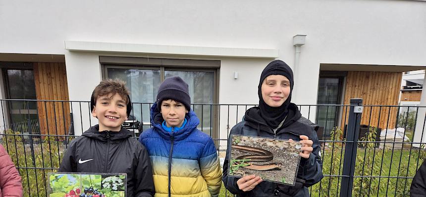 Schüler mit Folie Schneeball und Blindschleiche