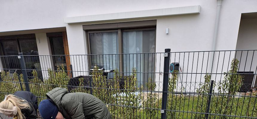 Schüler:innen pflanzen zusammen Strauch