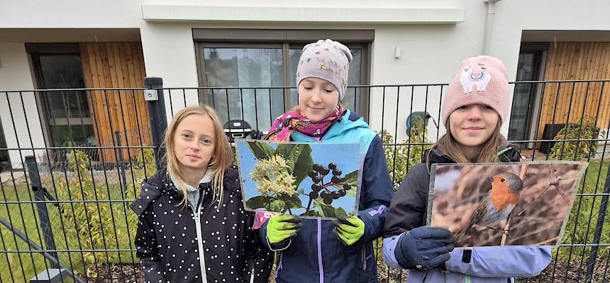 Schülerinnen mit Folie Hartriegel und Rotkehlchen