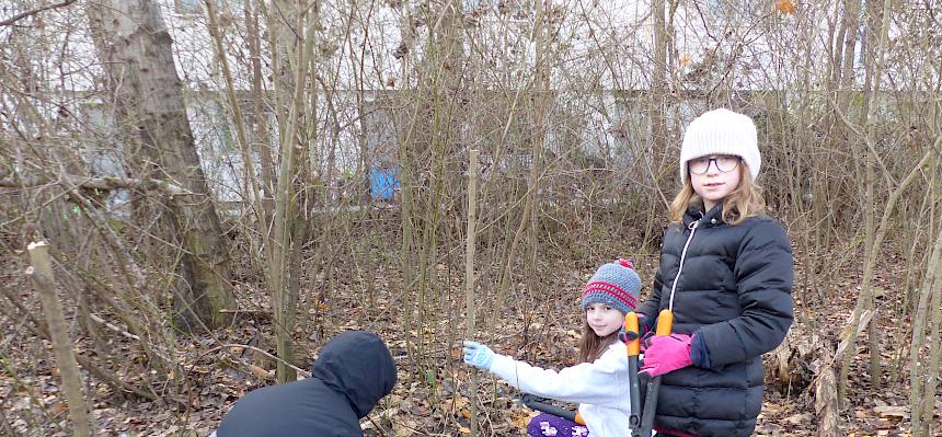 Pfadfinder:innen bei der Arbeit