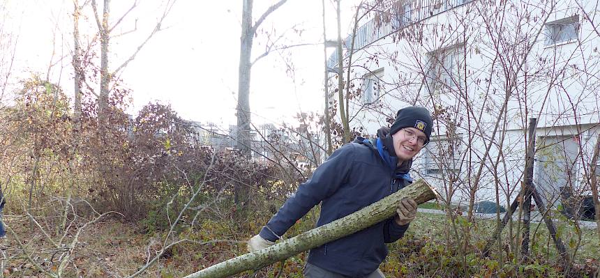 Freiwilliger zieht Ast