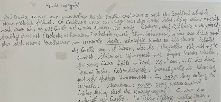 Detail-Anmerkungen zum Herbarbeleg