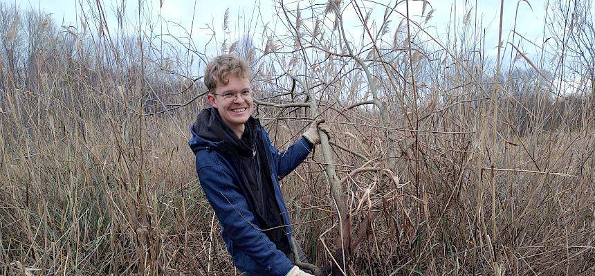 Praktikant sägt Gehölz