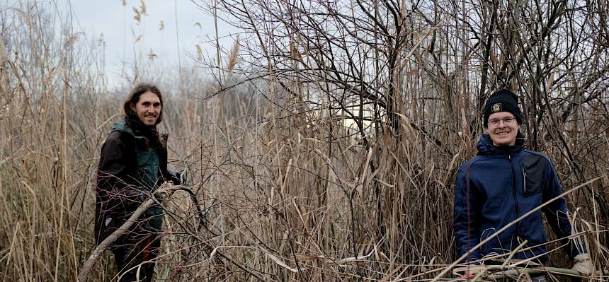 Praktikanten bei der Landschaftspflege