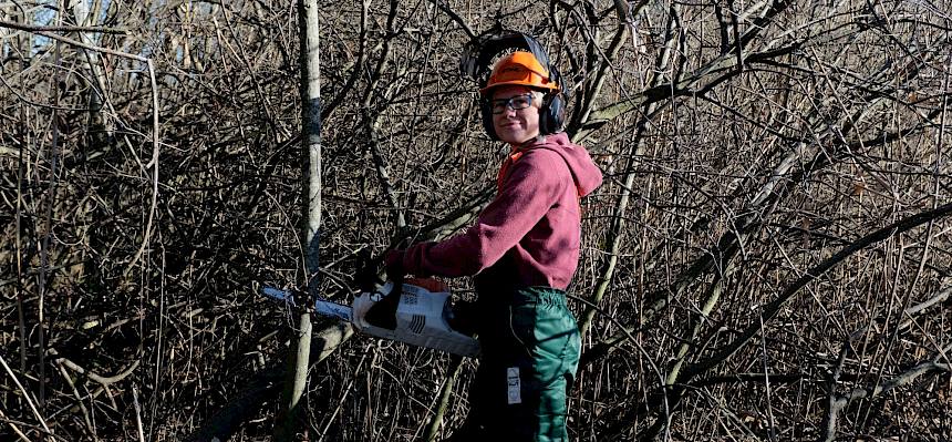 Biologin mit Motorsäge