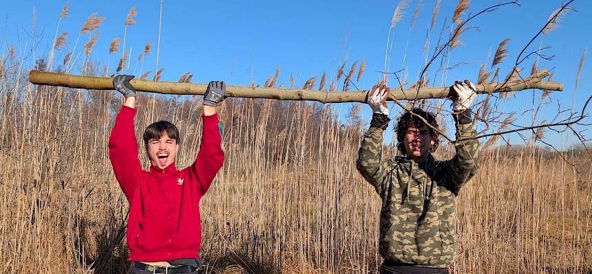 Volunteers halten Ast