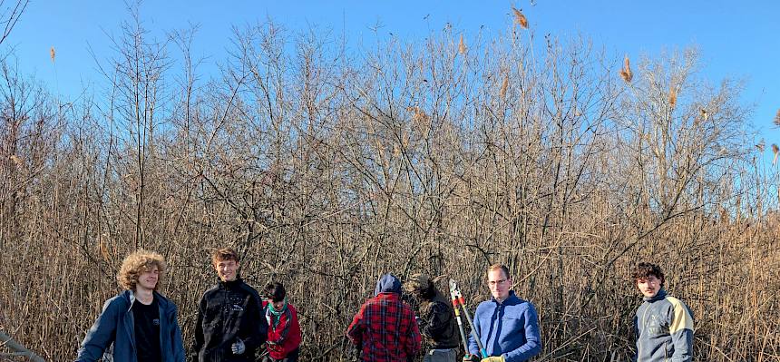 Freiwillige schneiden Gehölze