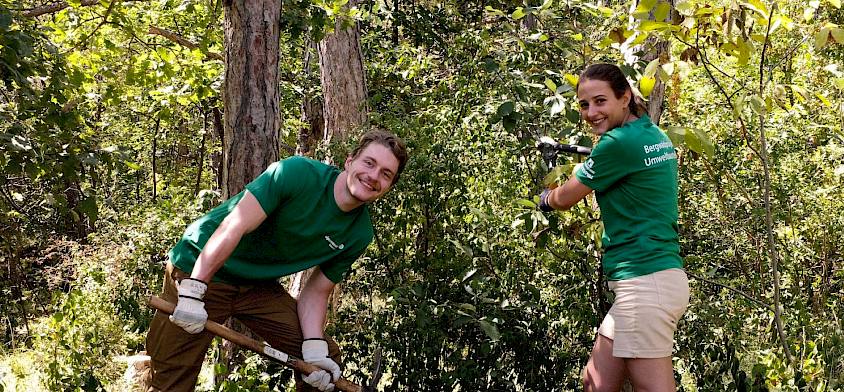 Freiwillige stellen Trockenrasen wieder her