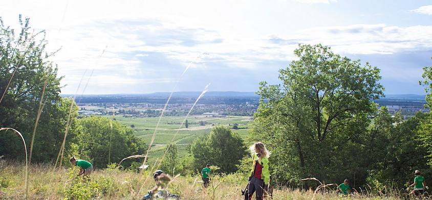 Freiwillige arbeiten mit Aussicht.