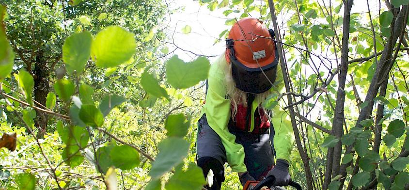 Freiwillige mit Motorsäge