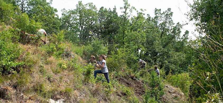 Voller Einsatz für die Trockenrasen!