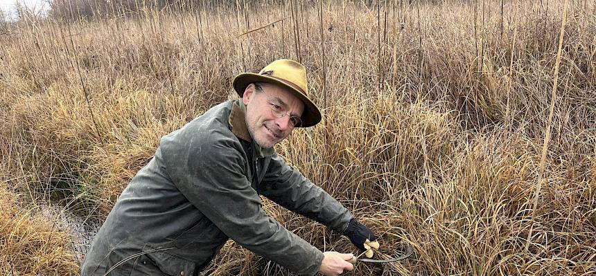 Biologe schneidet mit Sichel