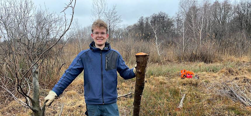 Praktikant trägt Äste