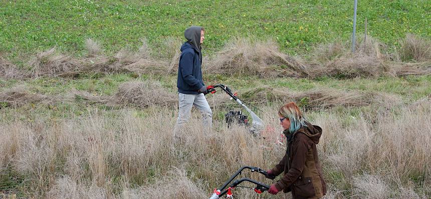 zwei Menschen mit Balkenmäher mähen Wiese