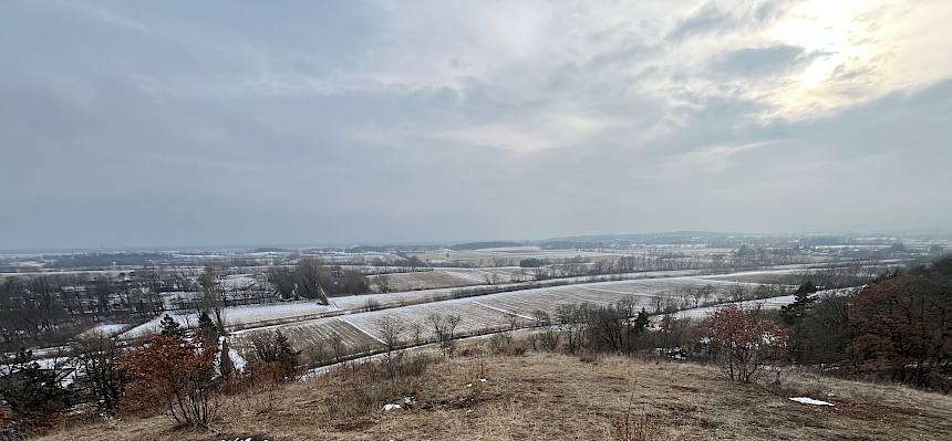 Blick über den Blosenberg