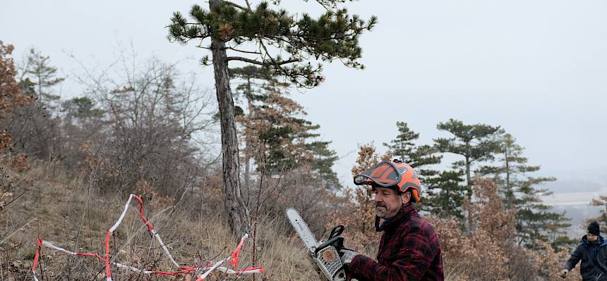 Freiwilliger mit Motorsäge.