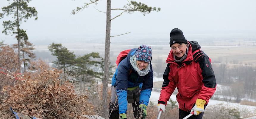 Freiwillige schneiden Gehölze mit Astschere