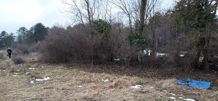 Nach dem Pflegeeinsatz.