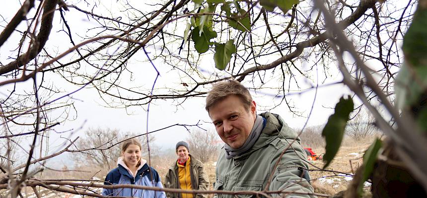 Freiwillige schneiden Hecke