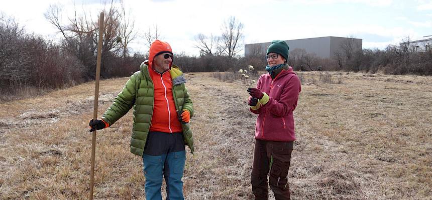 Biolog:in mit Gold-Distel in der Hand