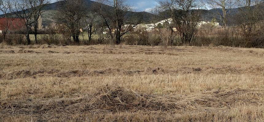 Schweizerwiese mit Mähgut