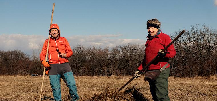 Beim heutigen Pflegeeinsatz wurde die Schweizerwiese – eine wiederhergestellte Feuchtwiese in Bad Vöslau – gepflegt. © LPV/M. Riedl Freiwillige beim Zusammenrechen von Schnittgut