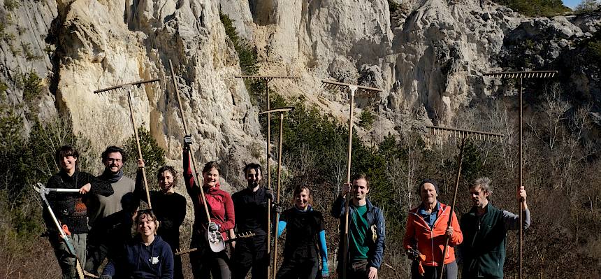 Freiwillige vormittags