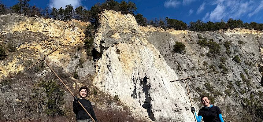 Zusammenrechen des Schnittguts