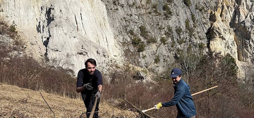 Praktikanten beim Zusammenrechen