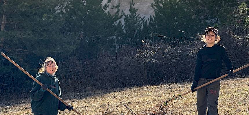 Praktikantinnen rechen Schnittgut zusammen