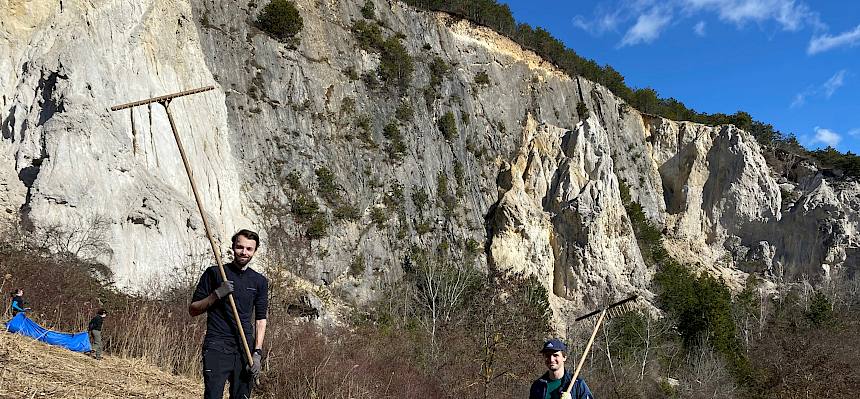 Spaß beim Schnittgut rechen