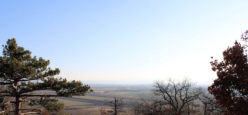 Abendliche Aussicht