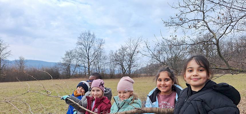 Teamwork beim Ast tragen