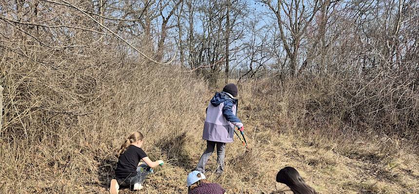 Schüler:innen pflege Trockenrasen