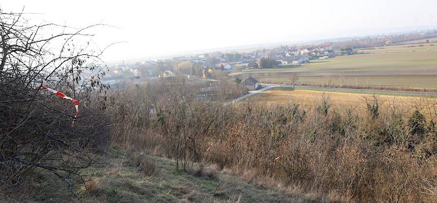 Fläche vorher