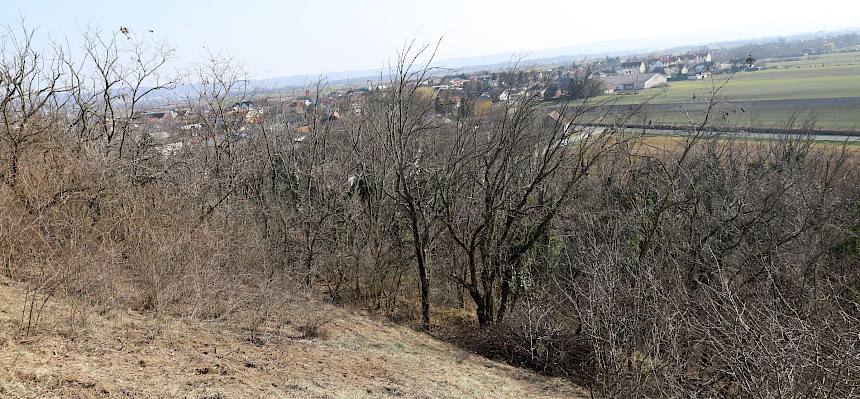 Fläche nachher