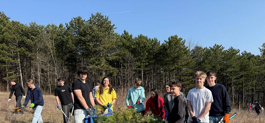 Schüler:innen tragen Plane mit Schnittgut
