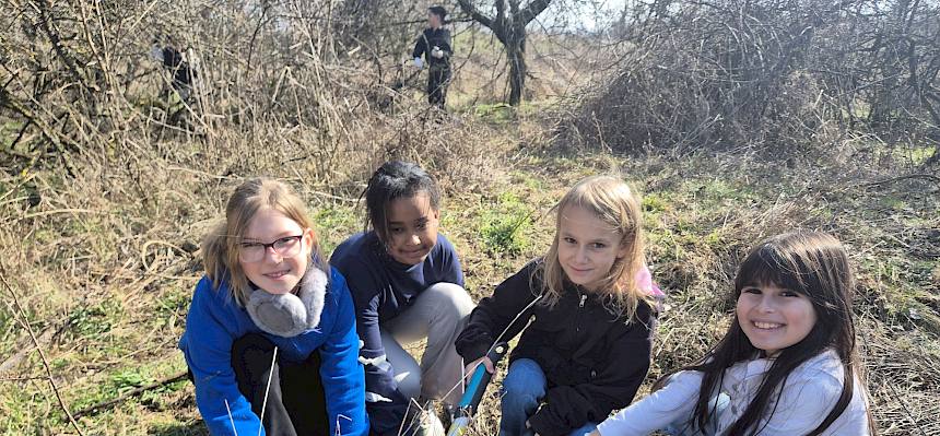 Schülerinnen pflegen Trockenrasen